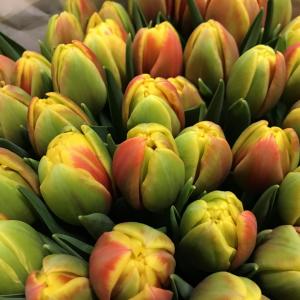 Bloemen vermandere-pioenen-pioenrozen-kwaliteit bloemen-plukboeket-bloemenmarkt